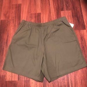 Women’s Plus Size high waist neutral green Shorts! New with tags!